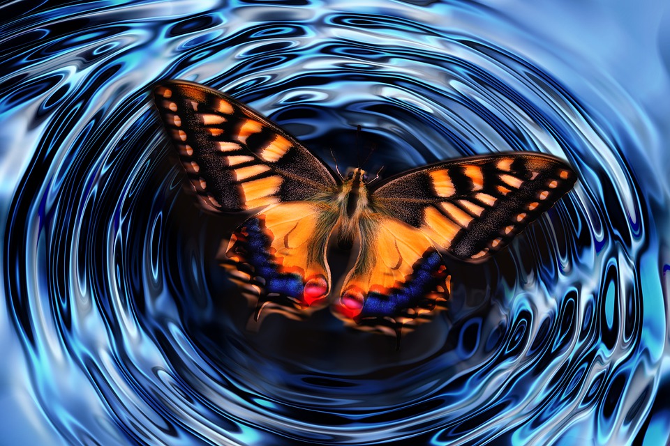 Butterfly effect