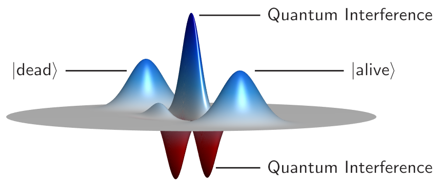 Cat state wigner function