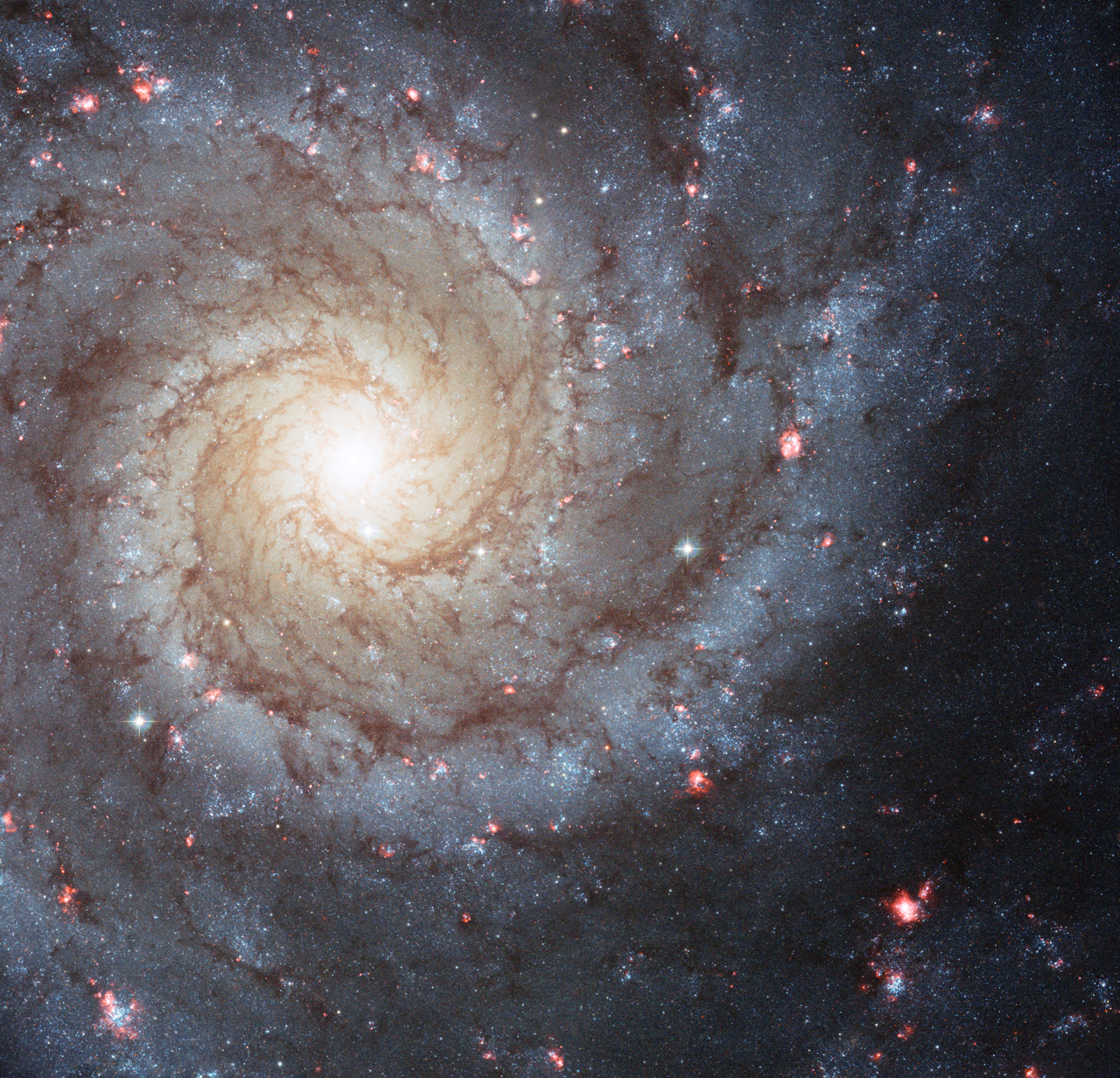 M74 spiral galaxy