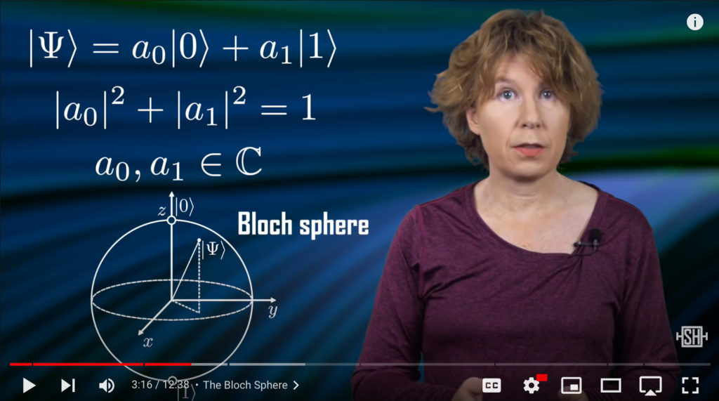 Quibit wave function