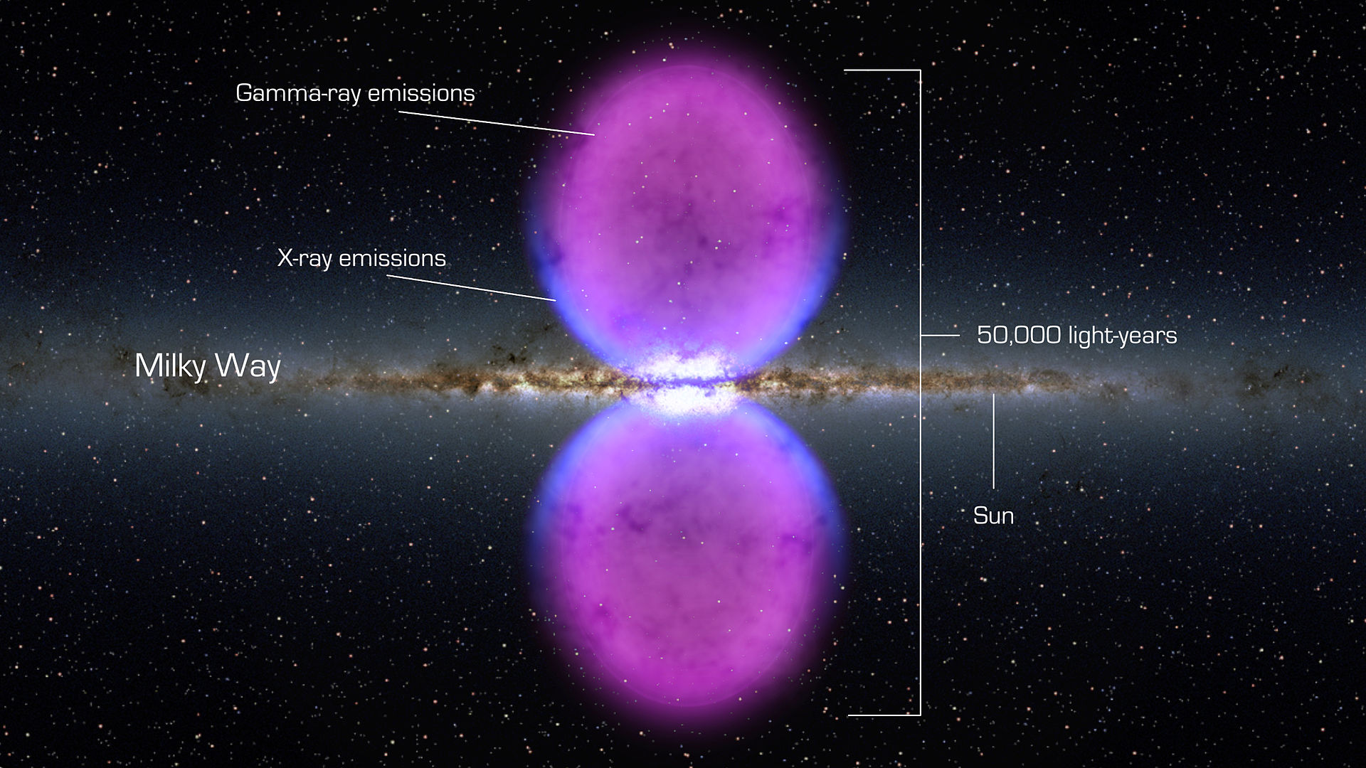 Gamma-Ray bubble at the center of the Milky Way