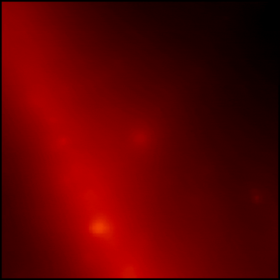 Gamma-ray burst GRB 221009A