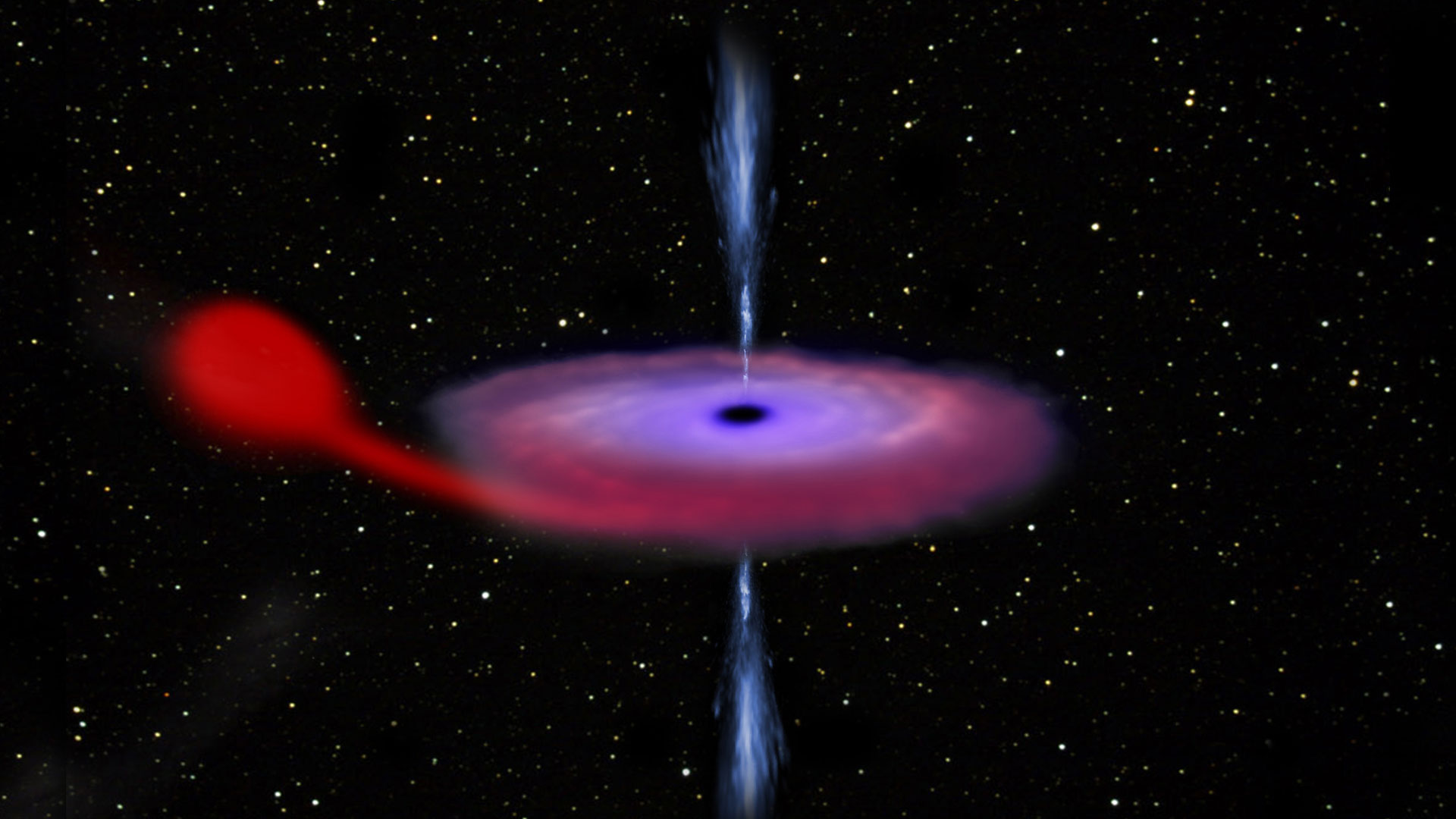 Black hole with stellar companion