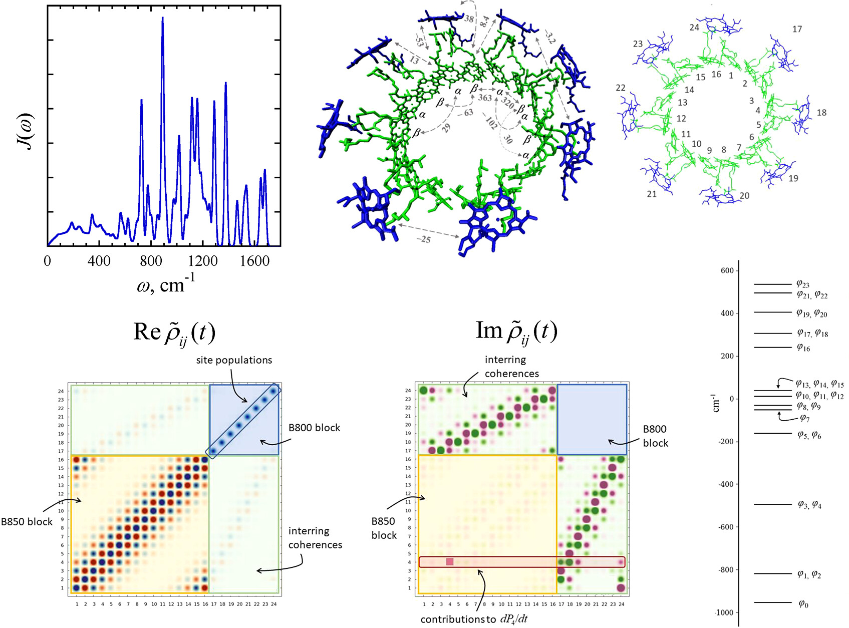 Quantum coherence map